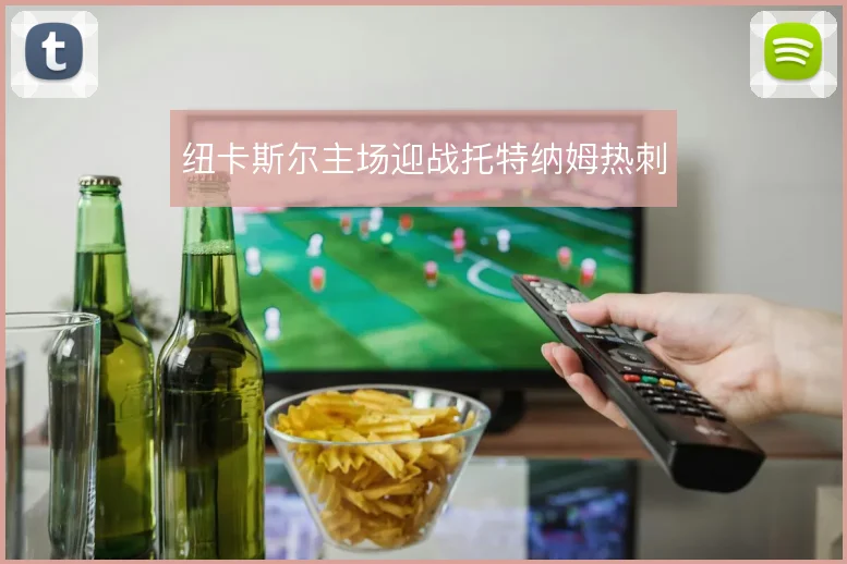 纽卡斯尔主场迎战托特纳姆热刺
