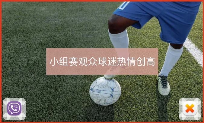 小组赛观众球迷热情创高