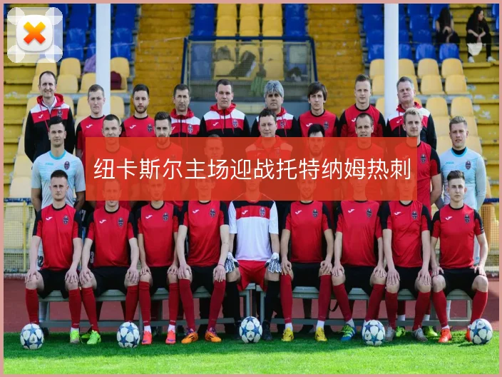 纽卡斯尔主场迎战托特纳姆热刺