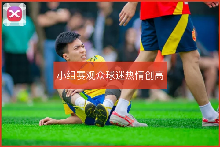 小组赛观众球迷热情创高